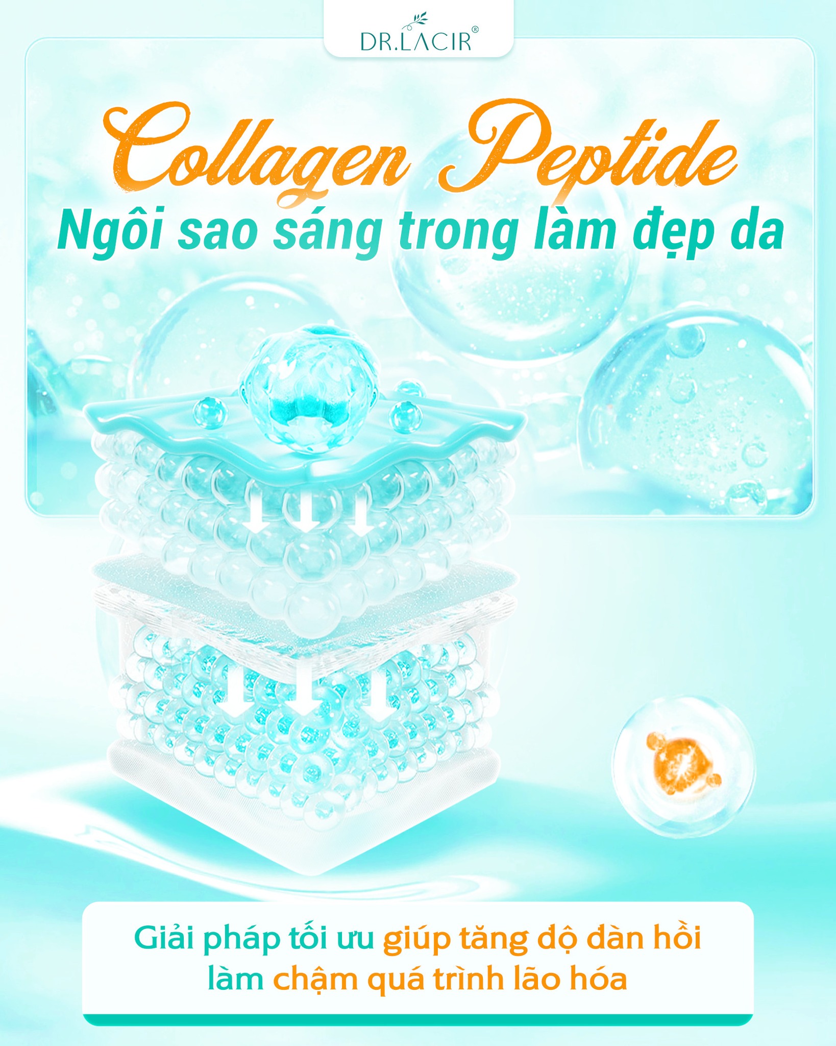 5-giai-ma-khien-collagen-peptide-nhat-ban-tro-thanh-ngoi-sao-trong-lam-dep-da-va-chong-lao-hoa