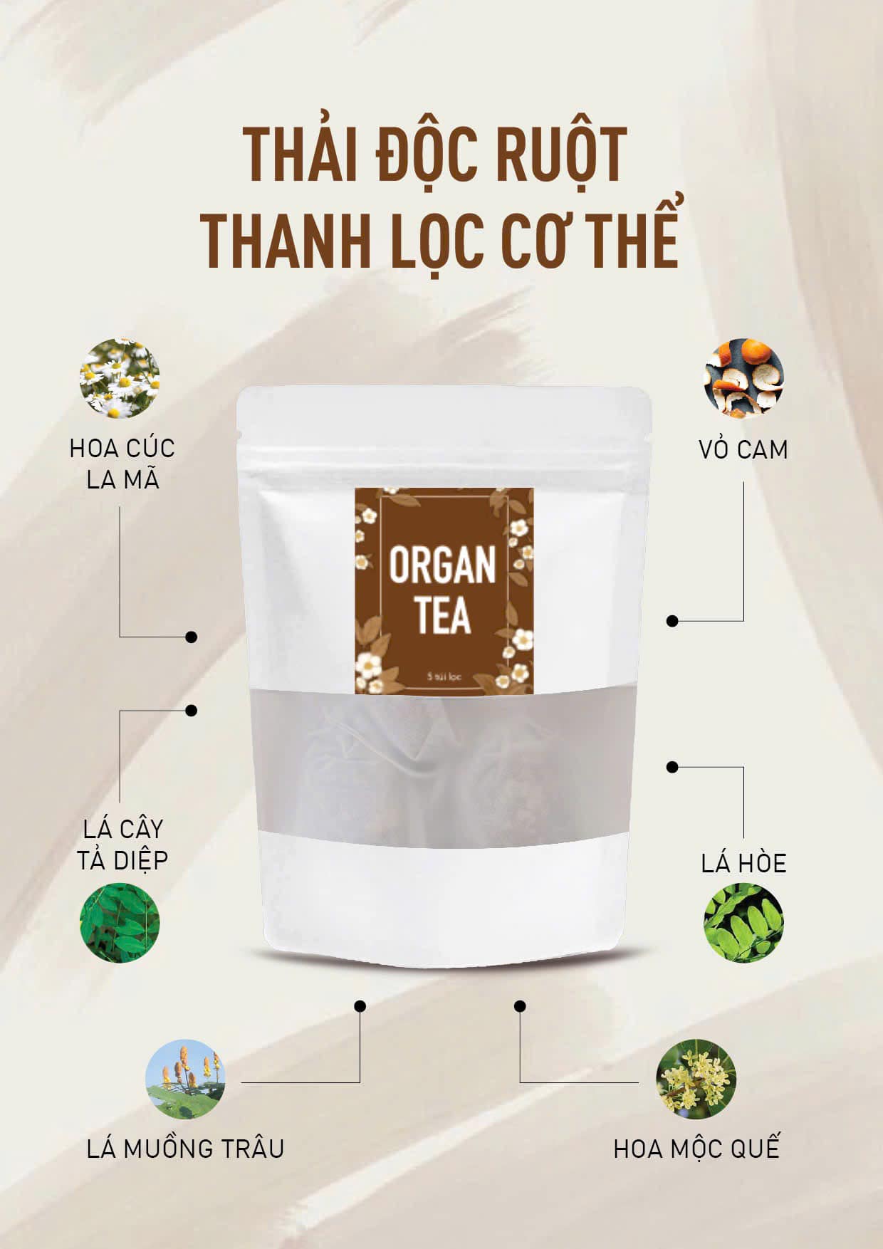 qrgan-tea-tra-thai-doc-ruot-thanh-loc-co-the